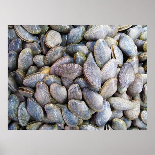 Venus Clam [หอยลาย] Poster (Front)