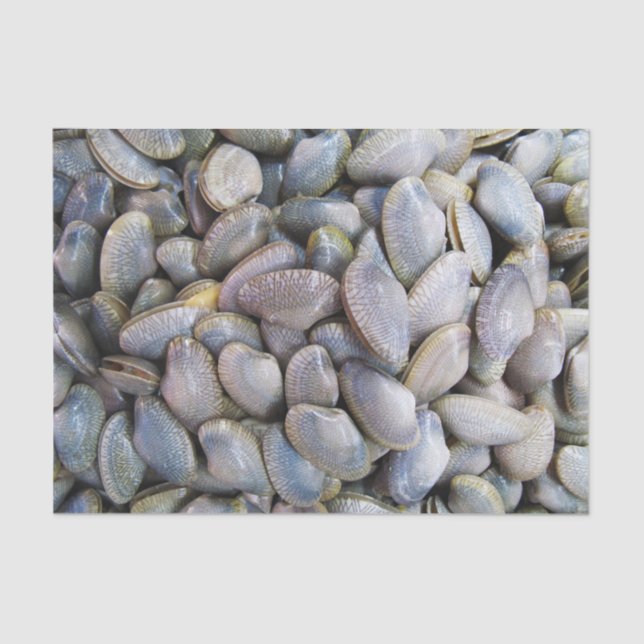 Venus Clam [หอยลาย] Tissue Paper (Front)