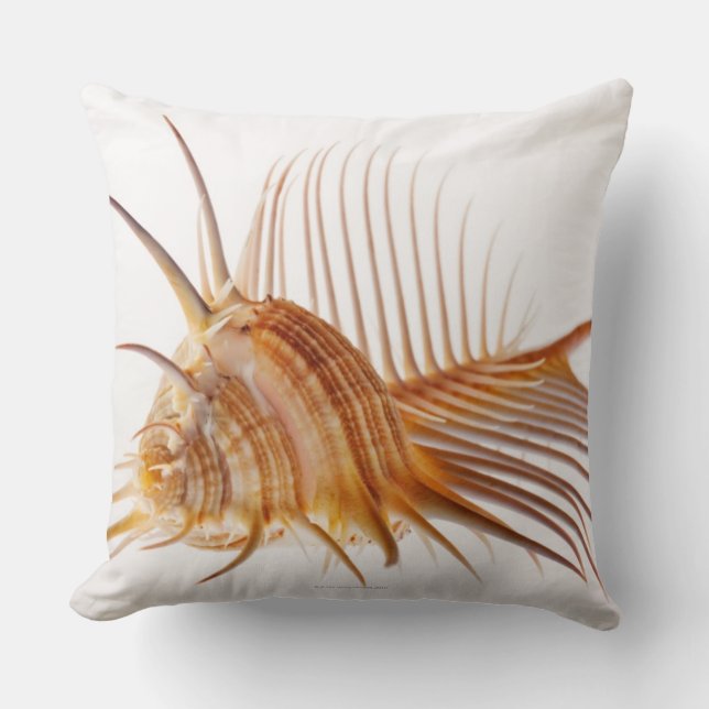 Venus Comb Murex shell (Murex pectin) against Throw Pillow (Front)