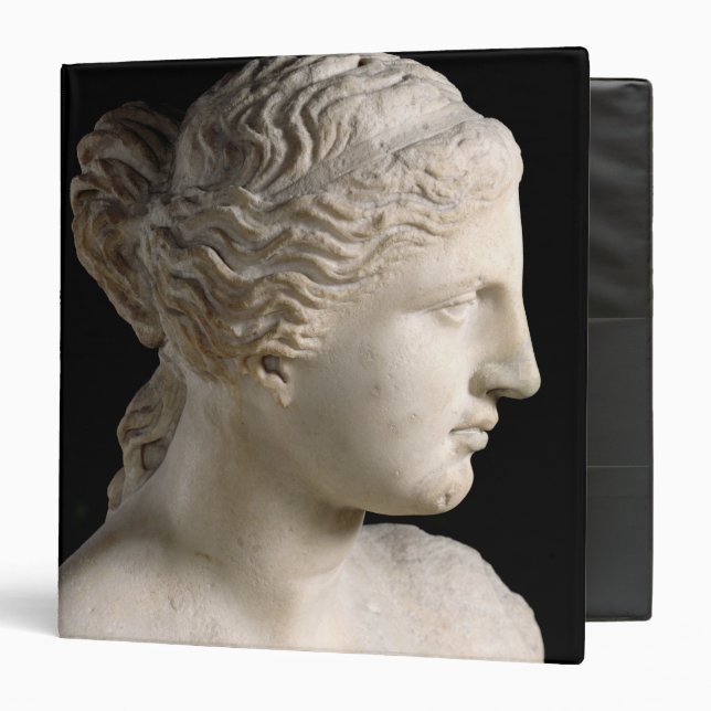 Venus de Milo Binder (Front/Inside)