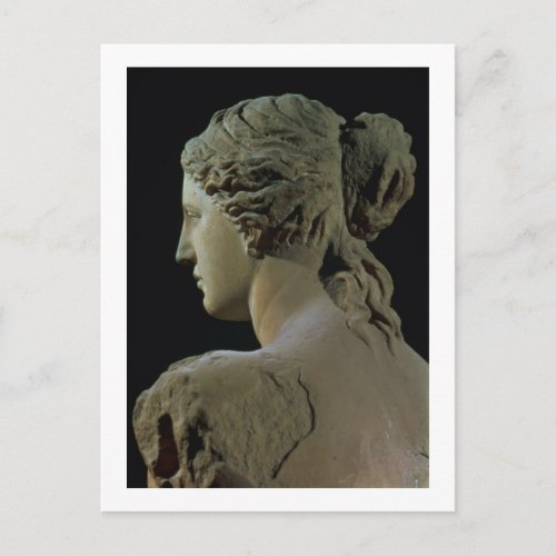 Venus de Milo detail of the back of the head Hel Postcard