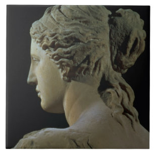 Venus de Milo, detail of the back of the head, Hel Tile
