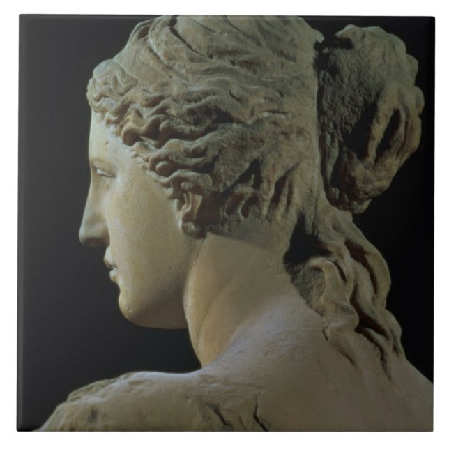 Venus de Milo, detail of the back of the head, Hel Tile (Front)