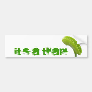Venus Fly Trap Bumper Sticker