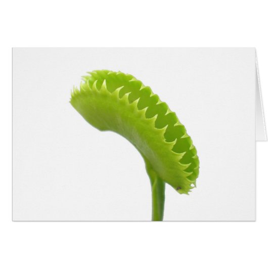Venus Fly Trap Cards (Front Horizontal)