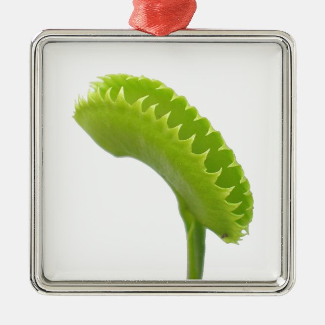Venus Fly Trap Metal Ornament (Front)