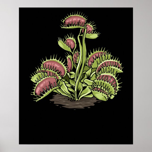 Venus Fly Trap Plant Carnivorous Plant Venus Fly Poster (Front)
