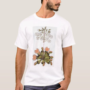 Venus Fly-trap, plate 84, from 'Collection Precieu T-Shirt