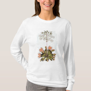 Venus Fly-trap, plate 84, from 'Collection Precieu T-Shirt