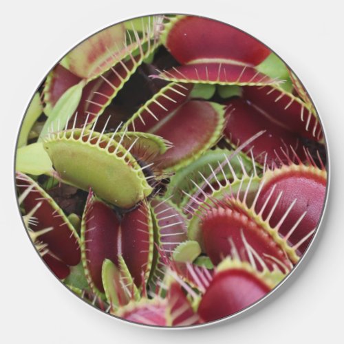 Venus Fly Trap Wireless Charger