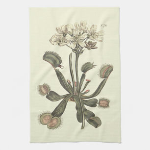 Venus Flytrap Botanical Illustration Towel