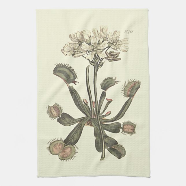Venus Flytrap Botanical Illustration Towel (Vertical)