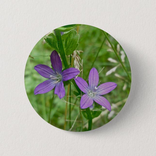 Venus Looking Glass Wildflower Button (Front)
