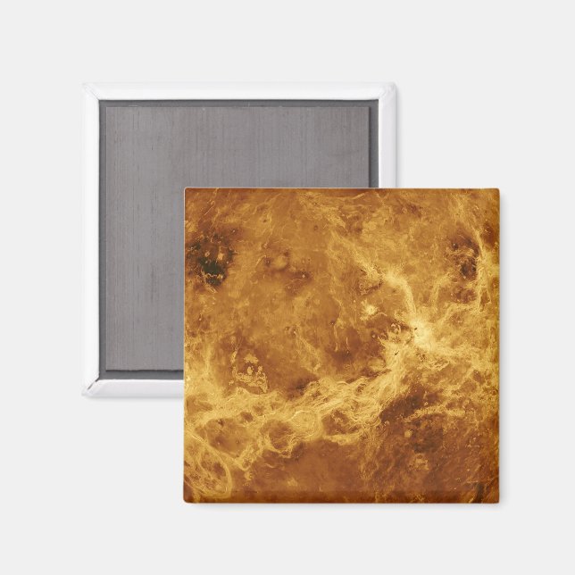 VENUS MAGNET (Front/Back)