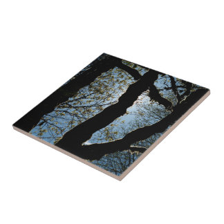 VER CERAMIC TILE