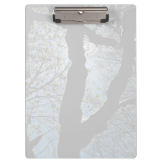 VER CLIPBOARD