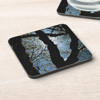 VER COASTER
