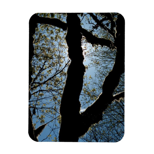 VER MAGNET (Vertical)