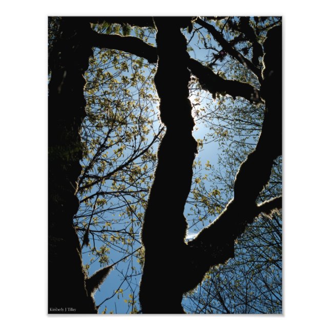 VER PHOTO PRINT (Front)