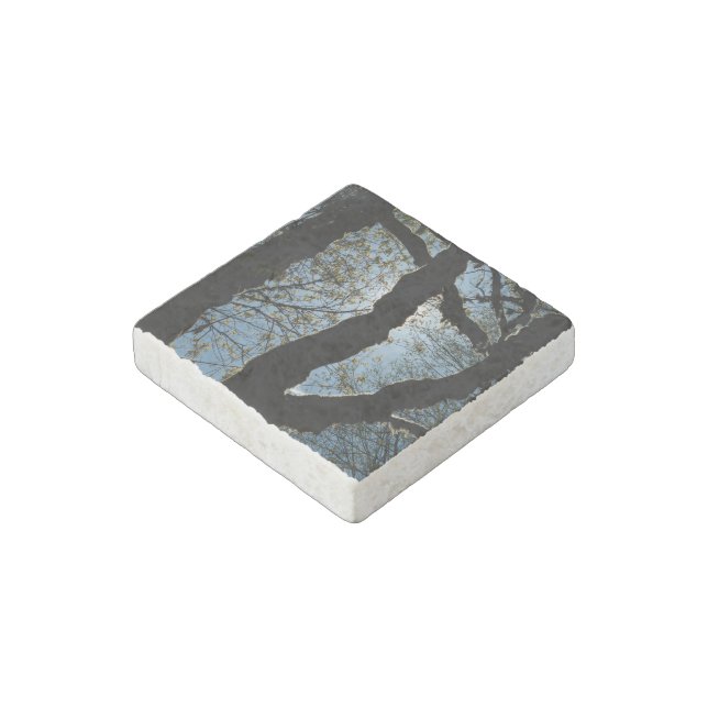 VER STONE MAGNET (Angled)