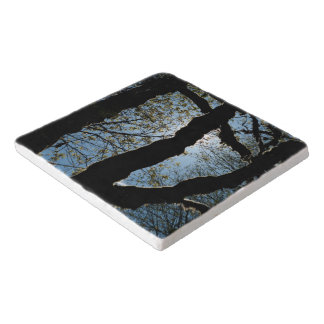 VER TRIVET