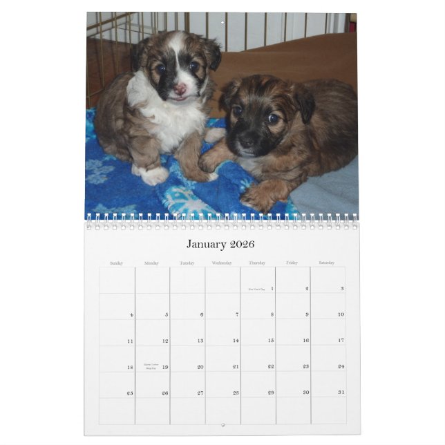 Vera and her puppies calendar (Jan 2026)