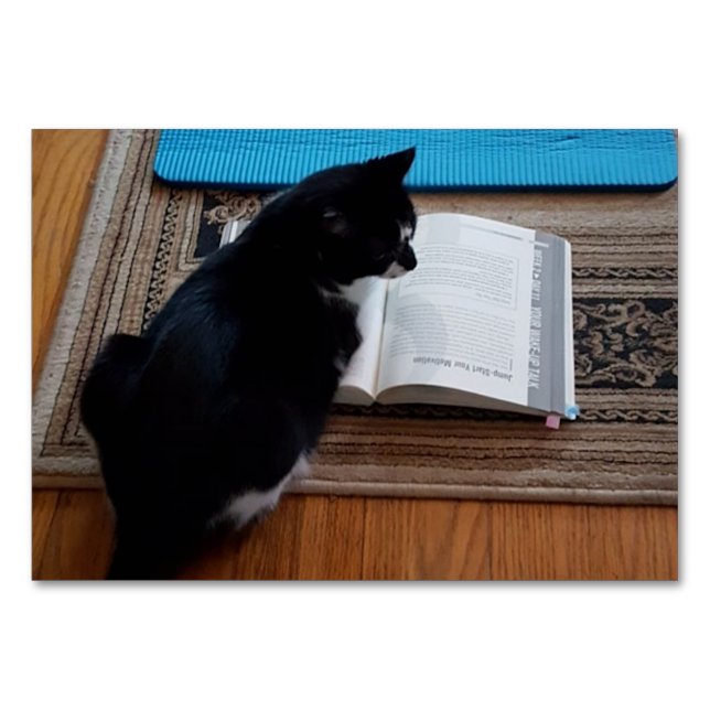 Verb Looking, Cat Reading FlashCards for Adults Table Number (Front)