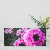 Verbena (Standing Front)