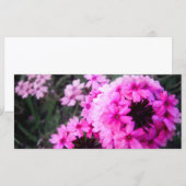 Verbena (Front/Back)