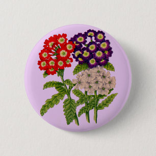 verbena flowers button