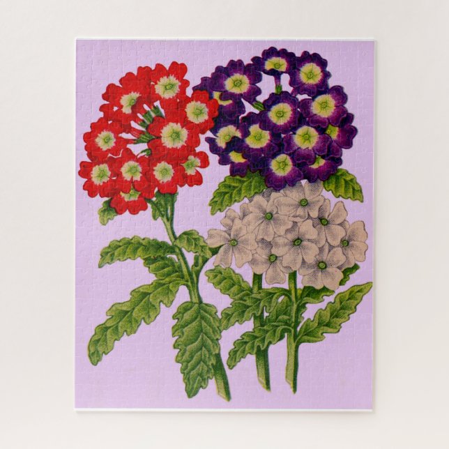 verbena flowers in red and purple jigsaw puzzle (Vertical)
