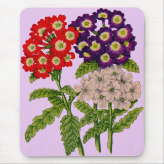 verbena flowers in red and purple mouse pad