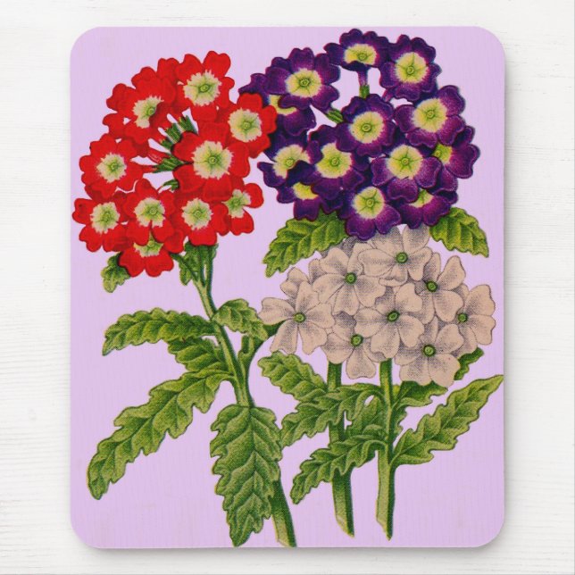 verbena flowers in red and purple mouse pad (Front)
