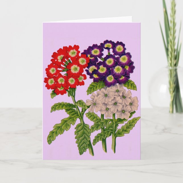 verbena flowers print card (Front)