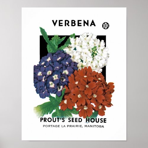 Verbena Seed Packet Label Poster