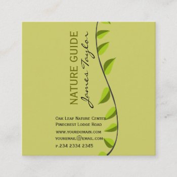 Verde Greenery  Shoot  Green Leaf Botanical Plants Square Business Card by 911business at Zazzle