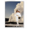 Verdi & Old Faithful, Yellowstone National Park