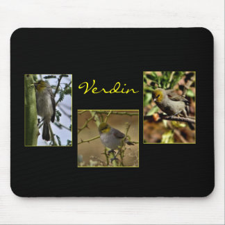 Verdin bird mousepad