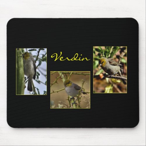 Verdin bird mousepad