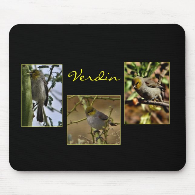 Verdin bird mousepad (Front)