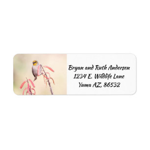 Verdin perched on penstemon label