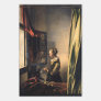 Vermeer - Girl Reading a Letter at an Open Window Wrapping Paper Sheets