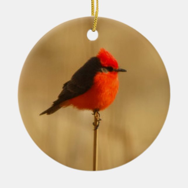 Vermilion Flycatcher Ceramic Ornament (Front)