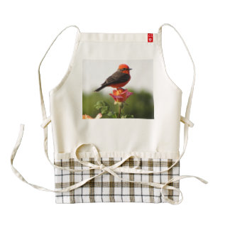 Vermilion Flycatcher on Rose Zazzle HEART Apron