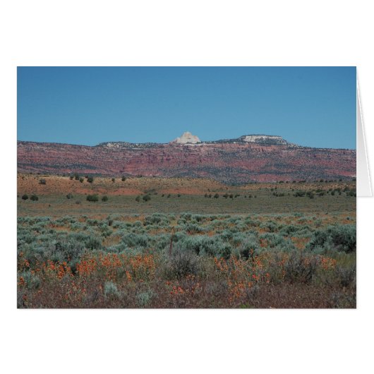 VERMILLION CLIFFS CARDS (Front Horizontal)