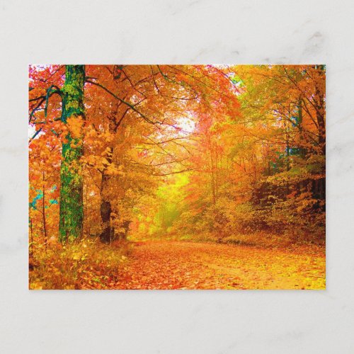 Vermont Autumn Fine Nature Landscape Postcard