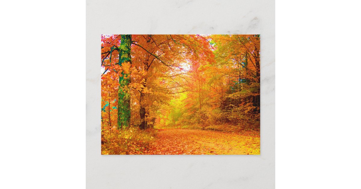 Vermont Autumn Fine Nature Landscape Postcard | Zazzle