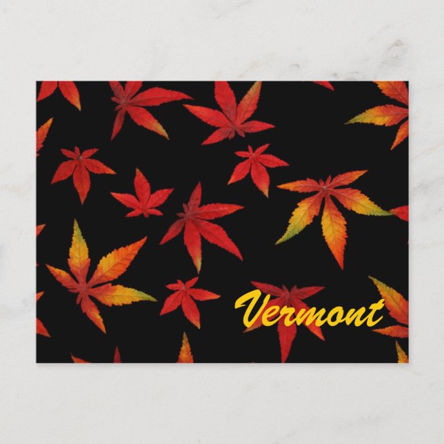 Vermont Autumn Leaves Postcard (Front)