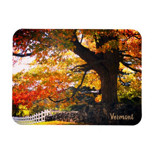 Vermont Autumn Maple Tree Flexible Photo Magnet