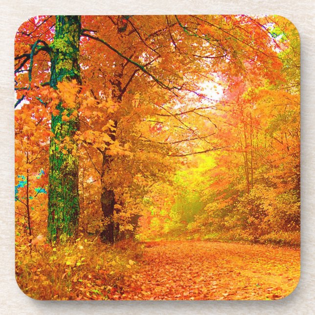 Vermont Autumn Nature Landscape Drink Coaster (Front)